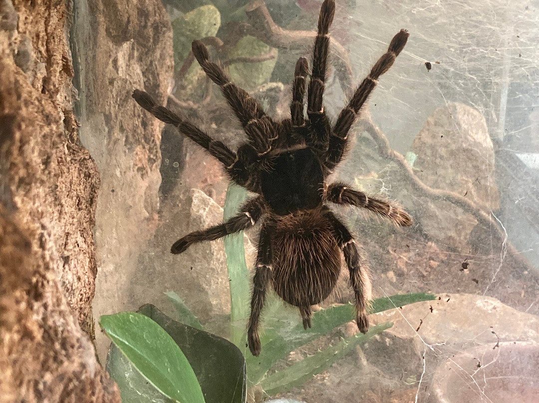 Malmo Reptile Center-马尔默必去景点