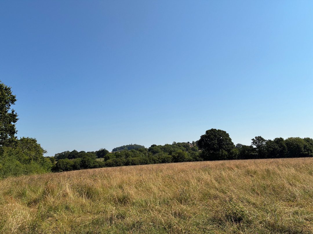 Ty Brith Nature Reserve-Llansantffraid-ym-Mechain必去景点