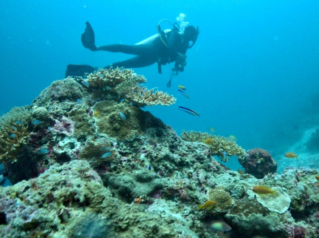 Amphibuzz Dive-Thulusdhoo Island必去景点