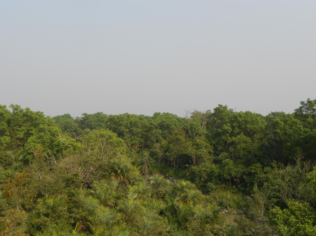 The Sundarbans-库尔纳县必去景点