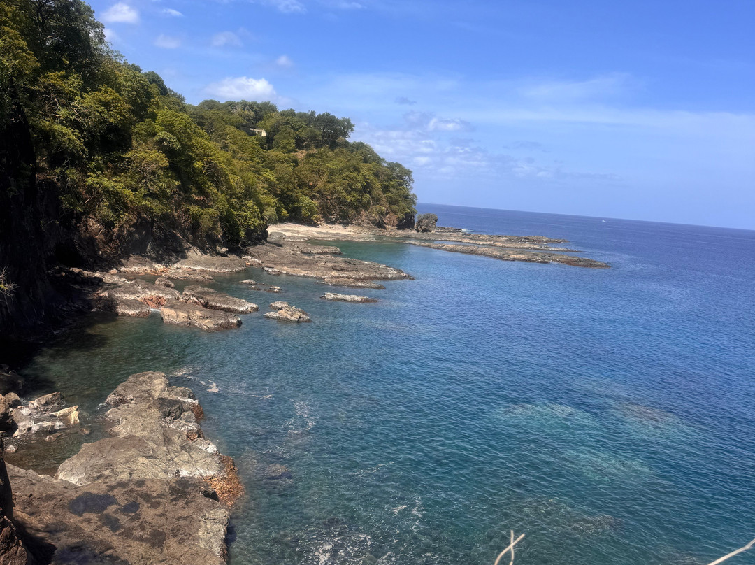Matt's Fishing & Tours-萨迪纳尔必去景点