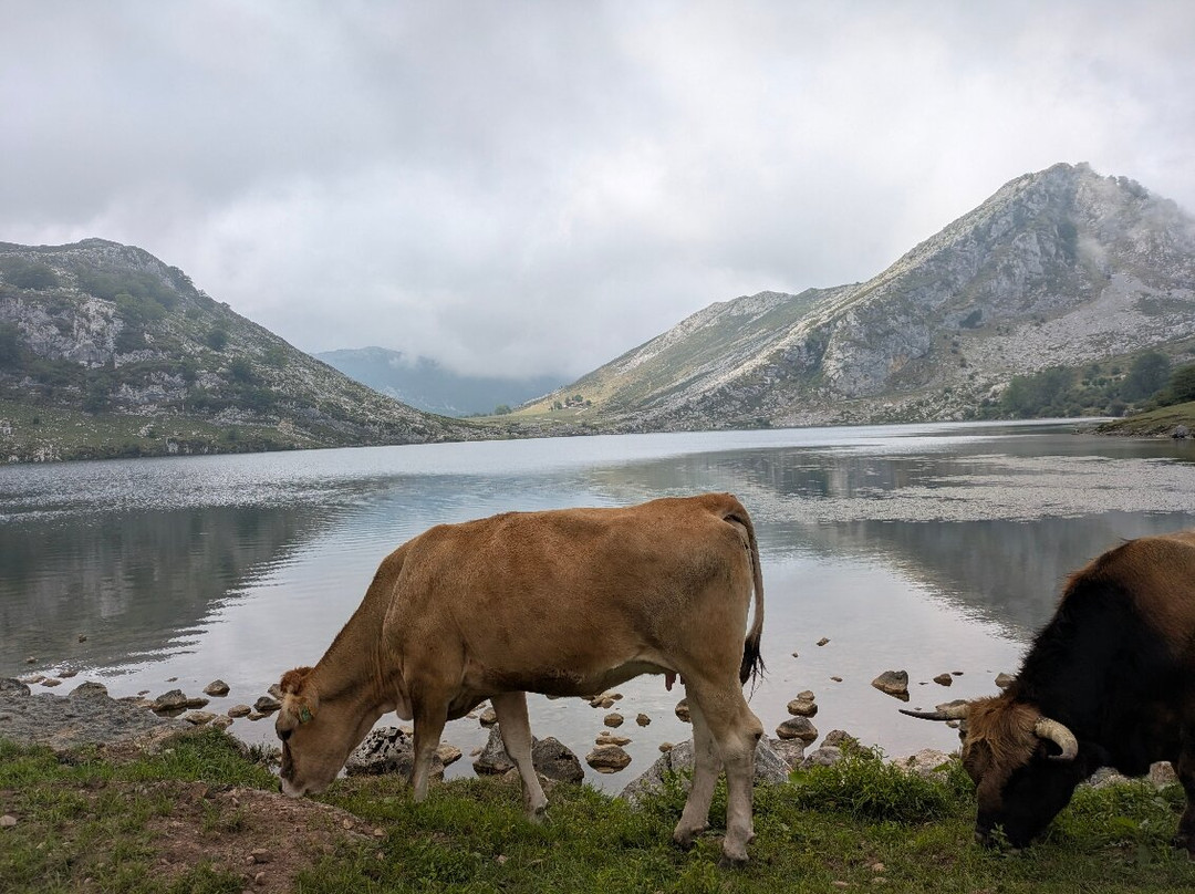 Lagos de Covadonga-Cangas de Onis必去景点