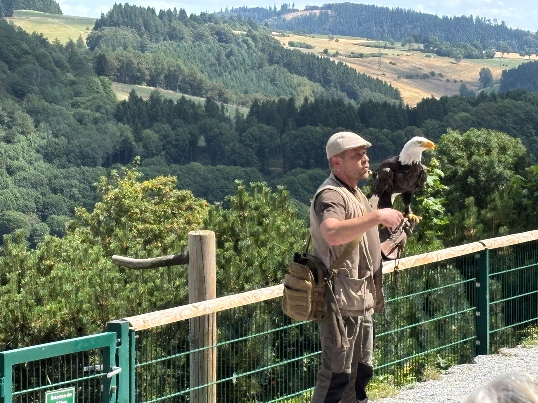 Wild- und Freizeitpark Willingen-Willingen必去景点