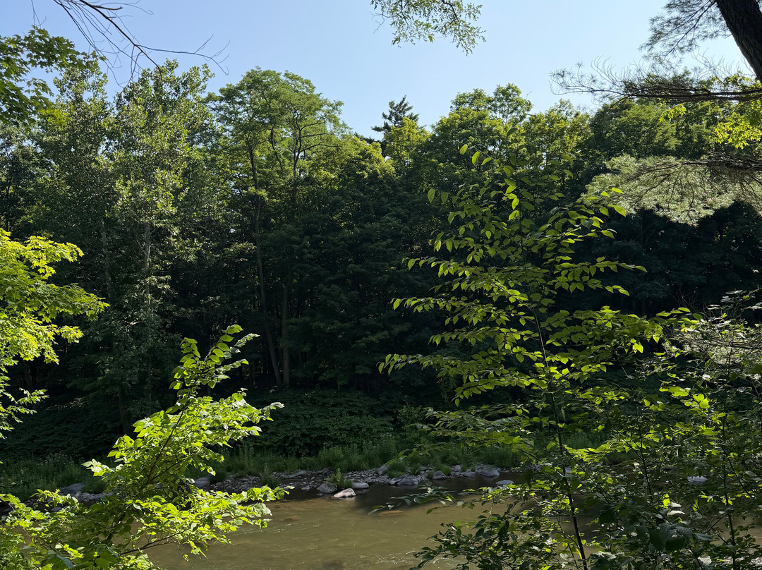 Rail Explorers Catskills Division-Phoenicia必去景点
