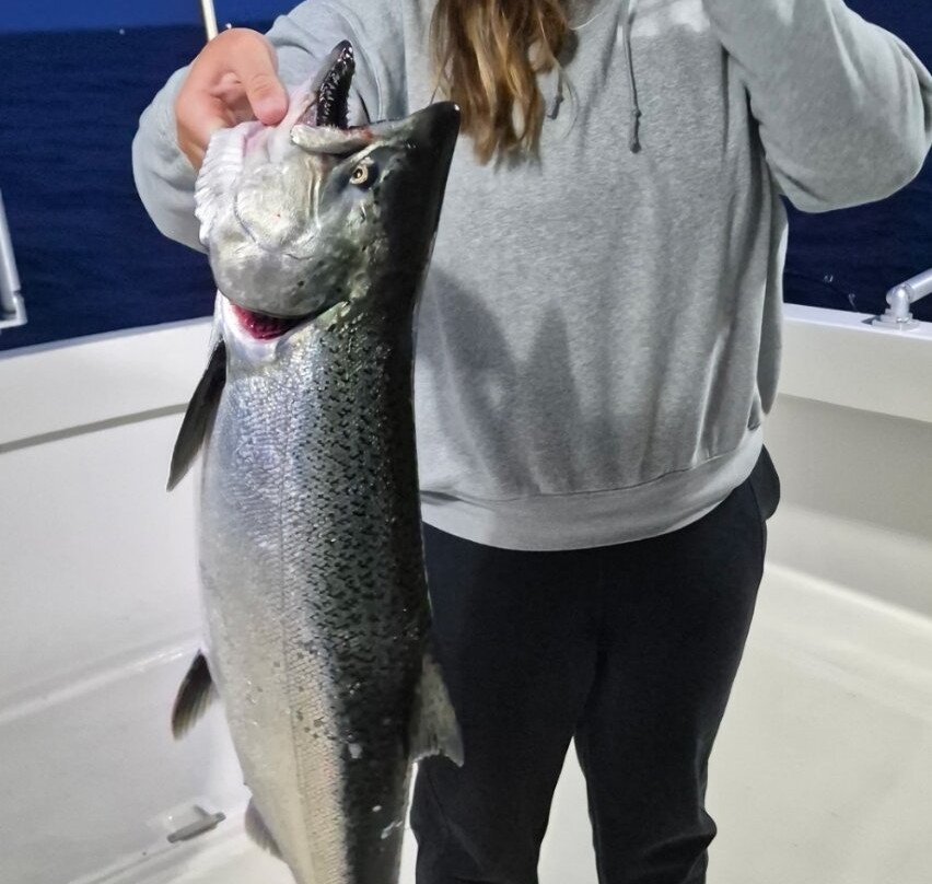 Kinn's Sport Fishing-Algoma必去景点