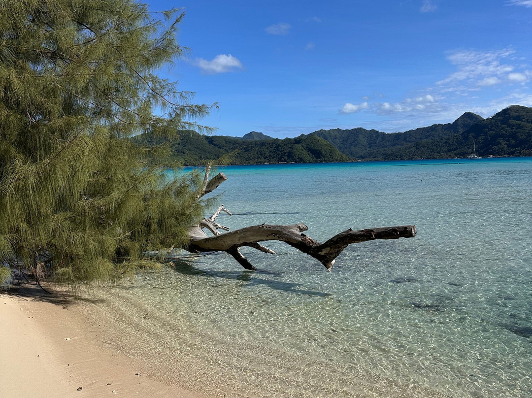 Dream Yacht Charter-Uturoa必去景点