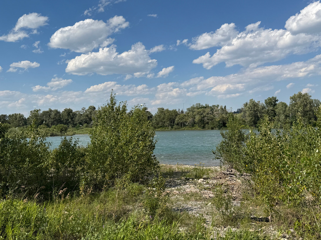 Inglewood Bird Sanctuary and Nature Centre-卡尔加里必去景点