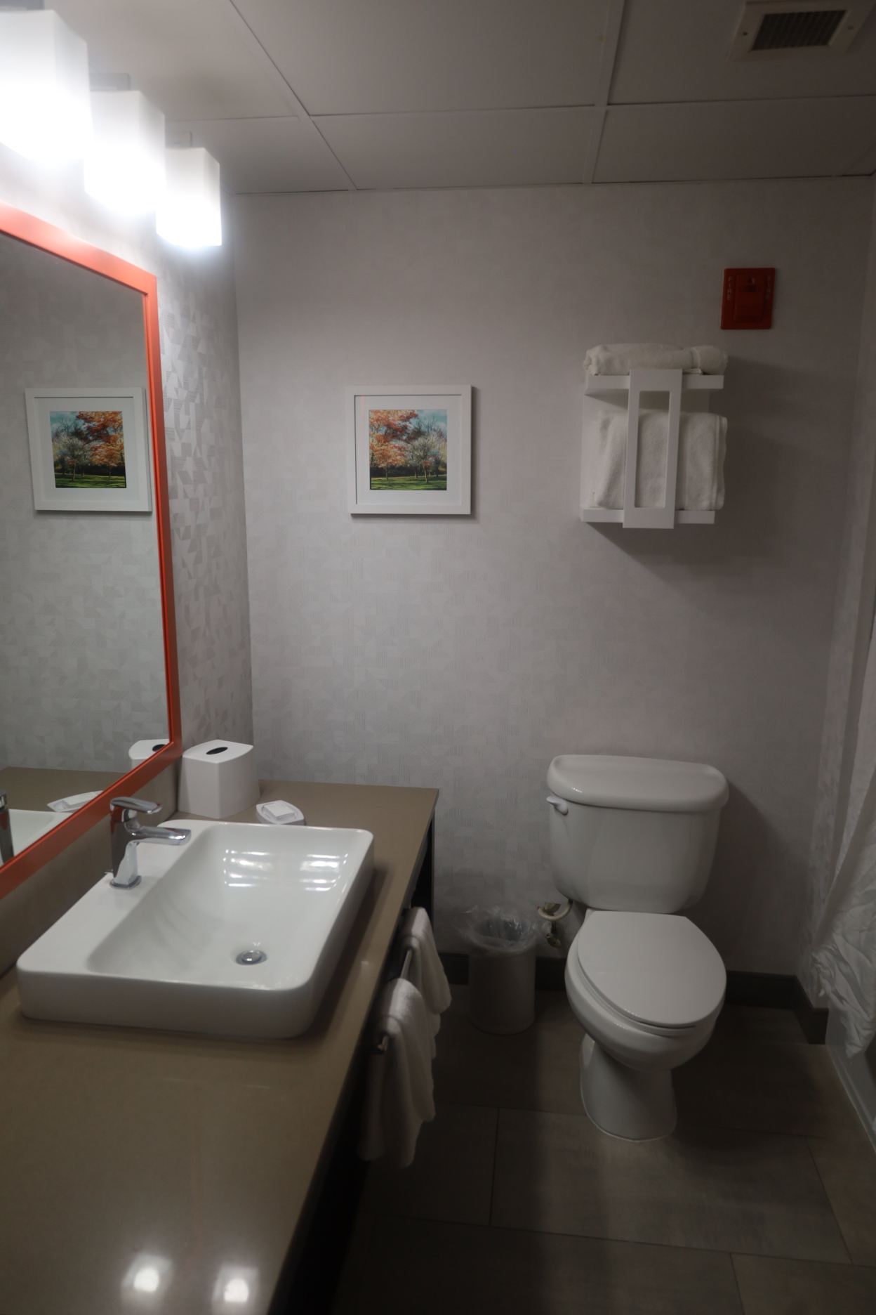 纽华克机场伊莉莎白欢朋套房酒店-浴室