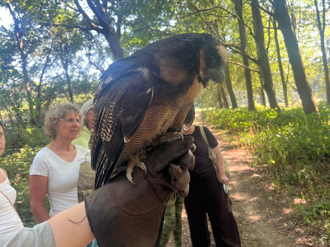 East Sussex Falconry-Herstmonceux必去景点