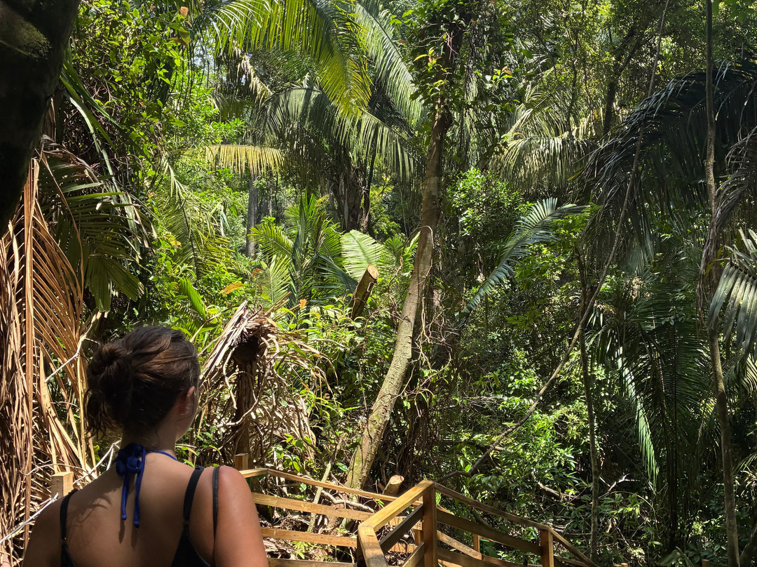 Manuel Antonio National Park-哥斯达黎加安东尼奥国家公园必去景点