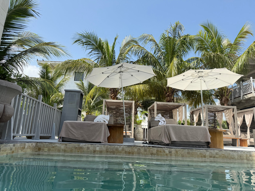 Delek Holbox