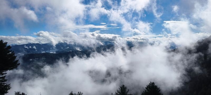 丽笙酒店库夫里西姆拉-旅行者