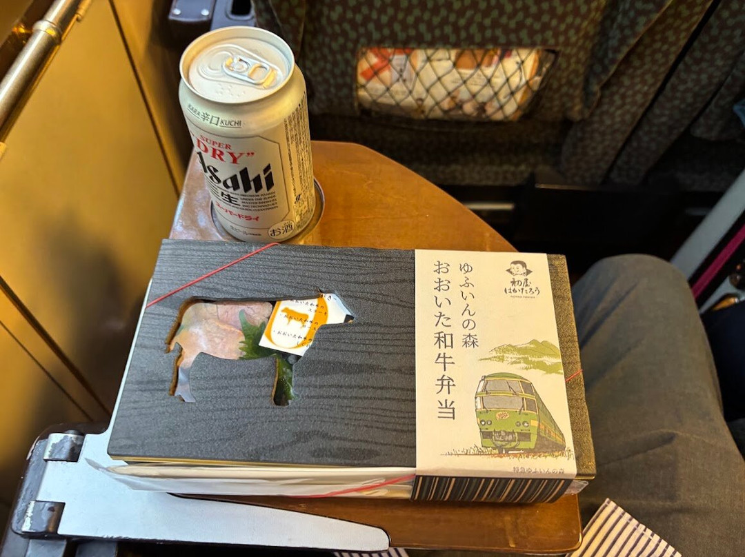 Limited Express Yufuin no Mori-Hakataekimae必去景点