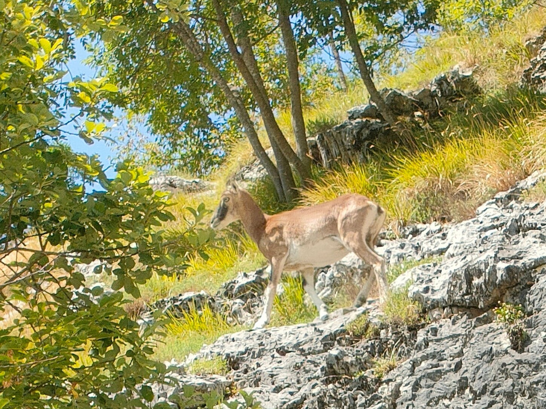 Cave Di Marmo Di Levigliani-Levigliani必去景点