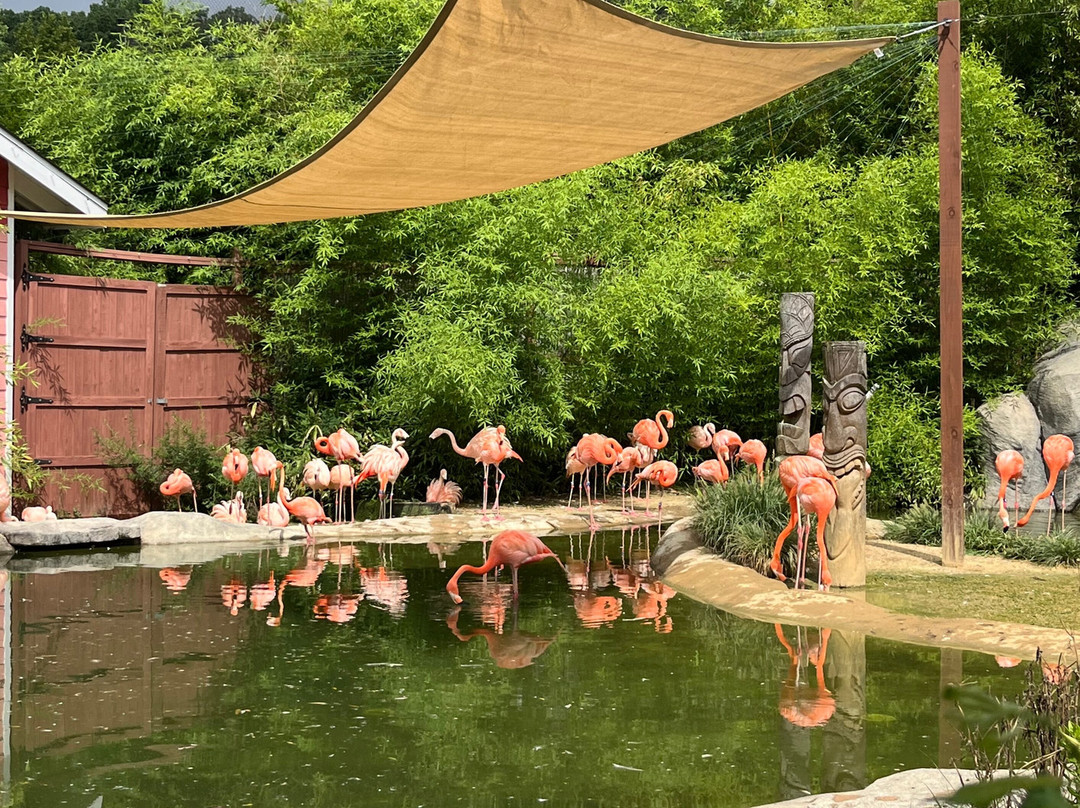 Turtle Back Zoo-西奥兰治必去景点