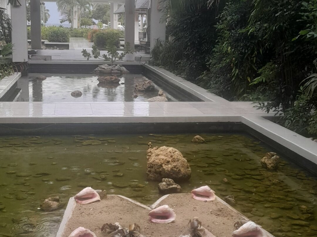 Meliá Trinidad Península主图