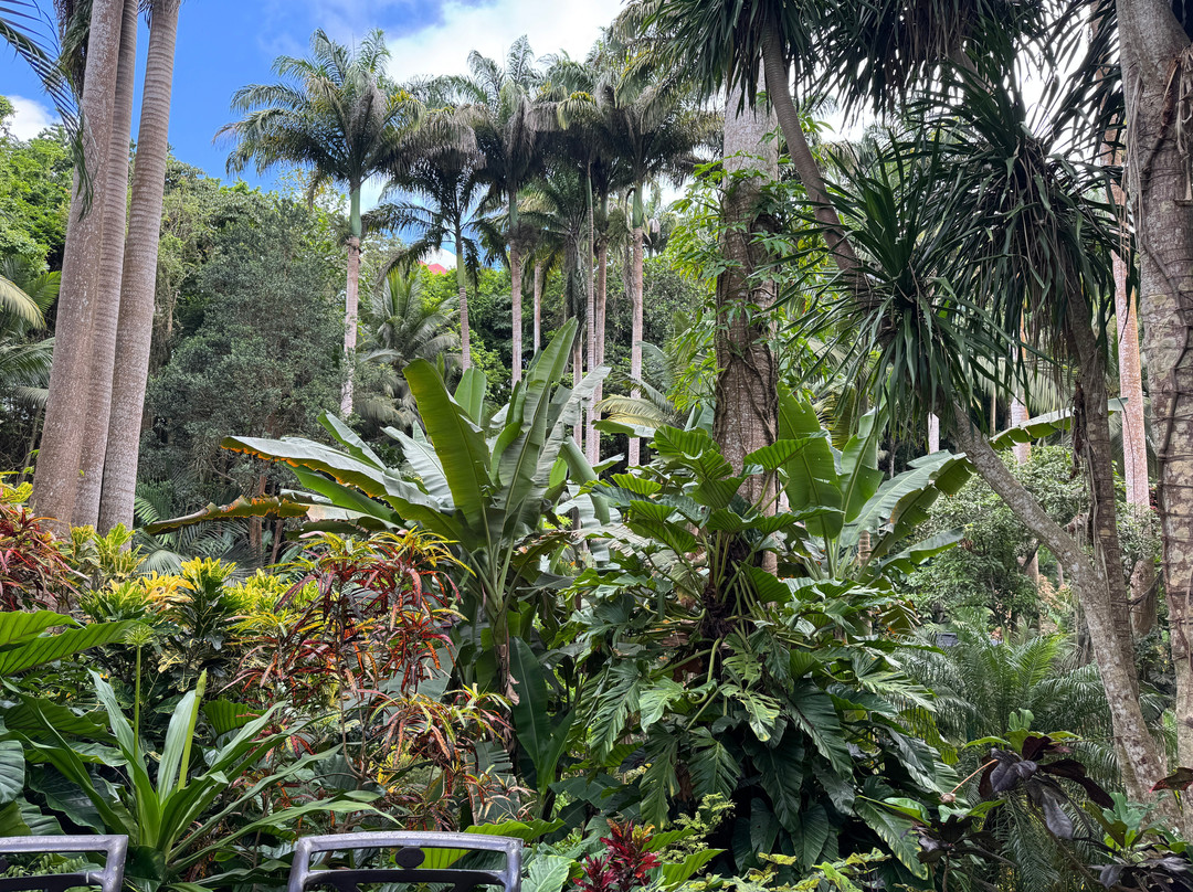 Hunte's Gardens-Saint Joseph Parish必去景点