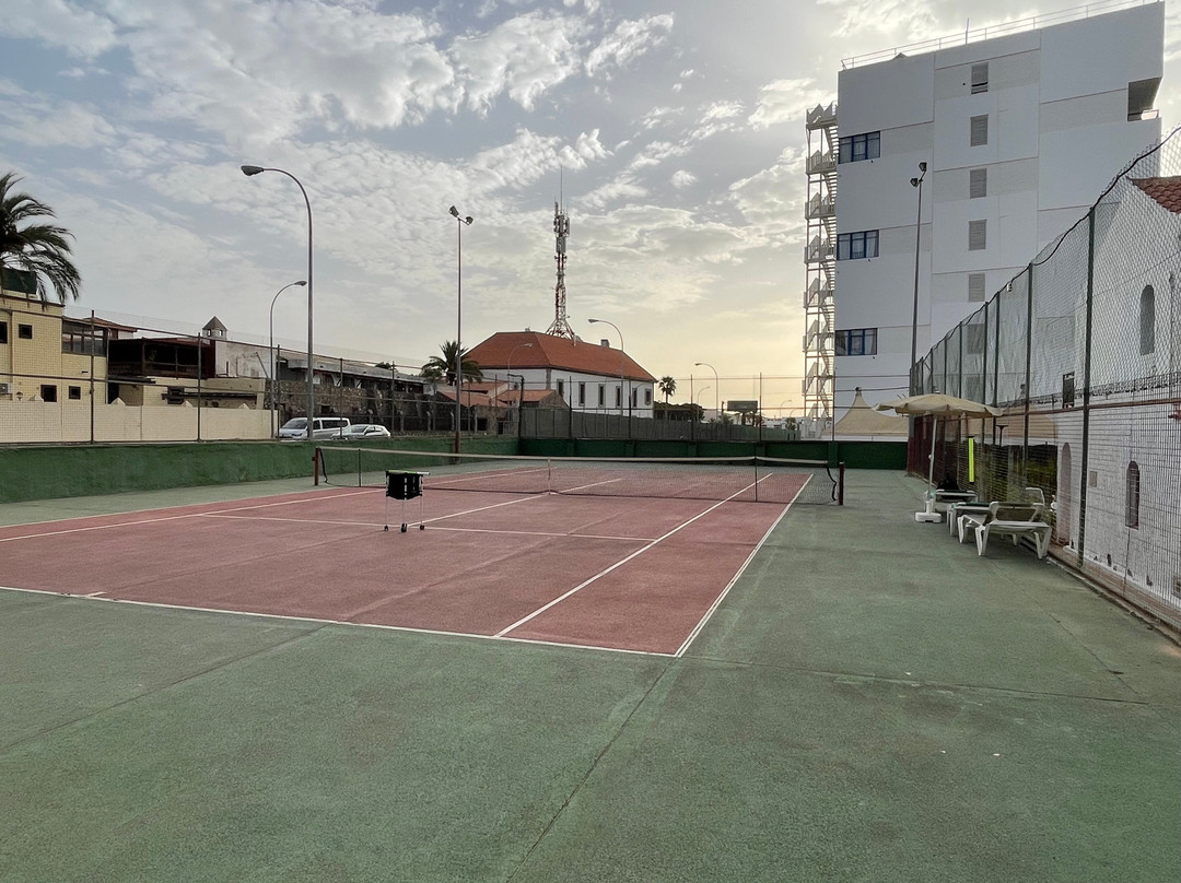 Play Tennis In The Sun-马斯帕洛马斯必去景点