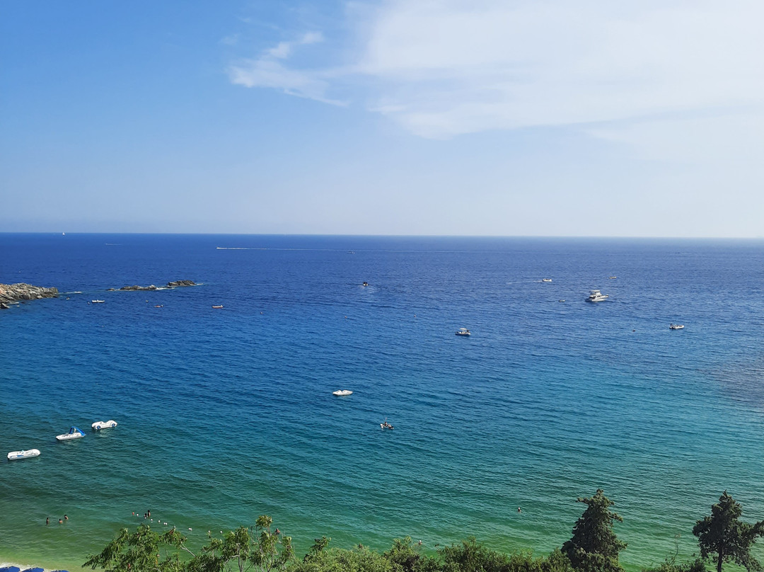 Spiaggia di Cavoli-Marina di Campo必去景点