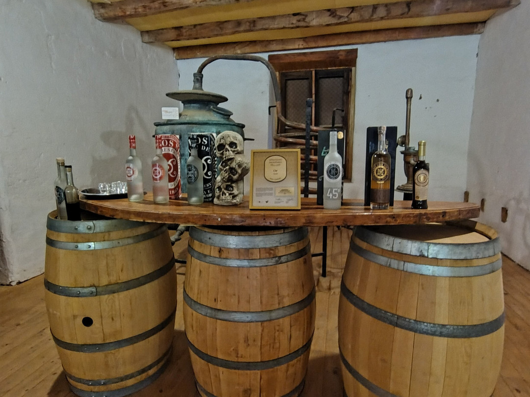 Fundo Los Nichos-Pisco Elqui必去景点
