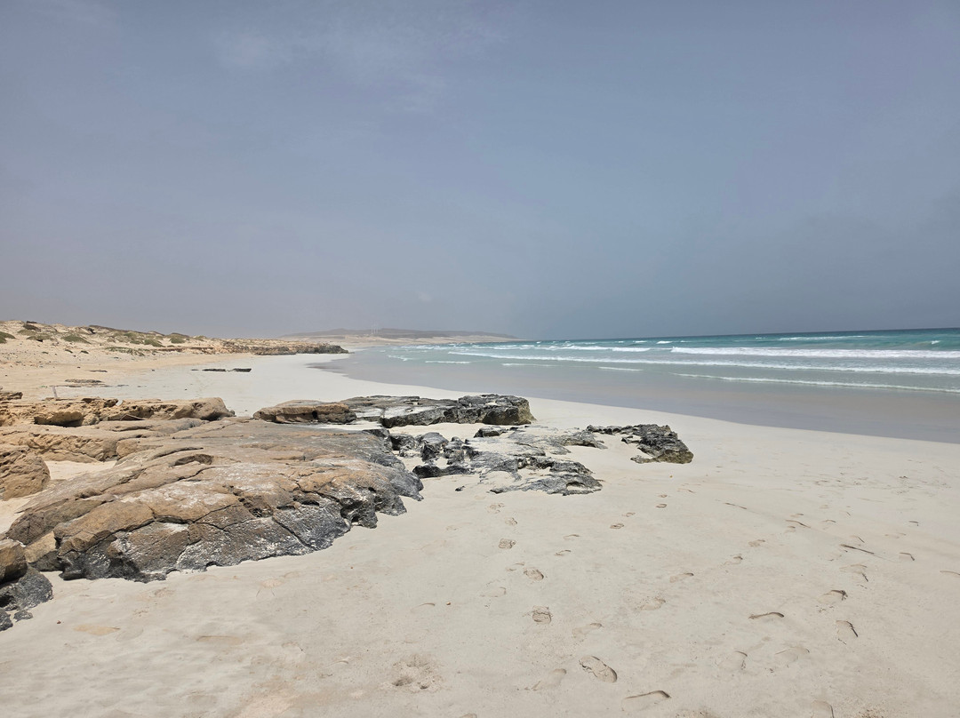 Pier Boa Vista Tours-博阿维斯塔必去景点