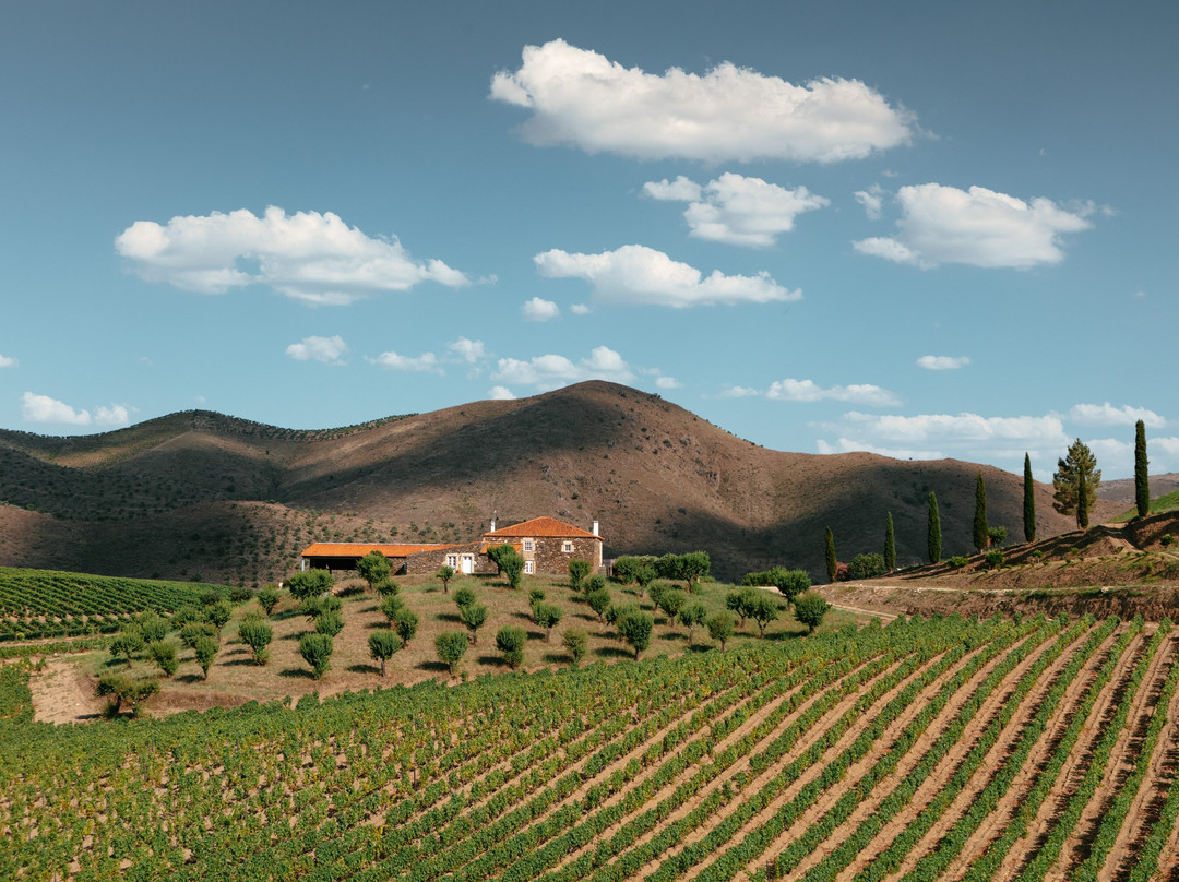 Quinta de Ervamoira-Vila Nova de Foz Coa必去景点