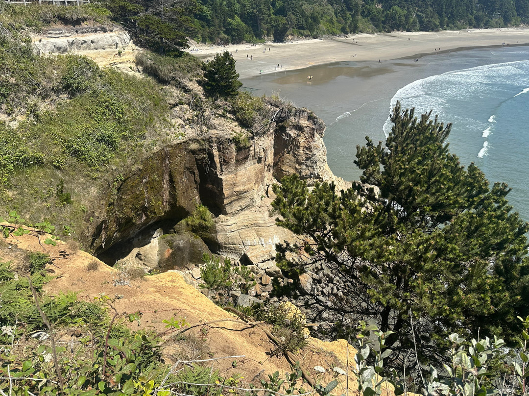 Devils Punchbowl State Natural Area-Otter Rock必去景点