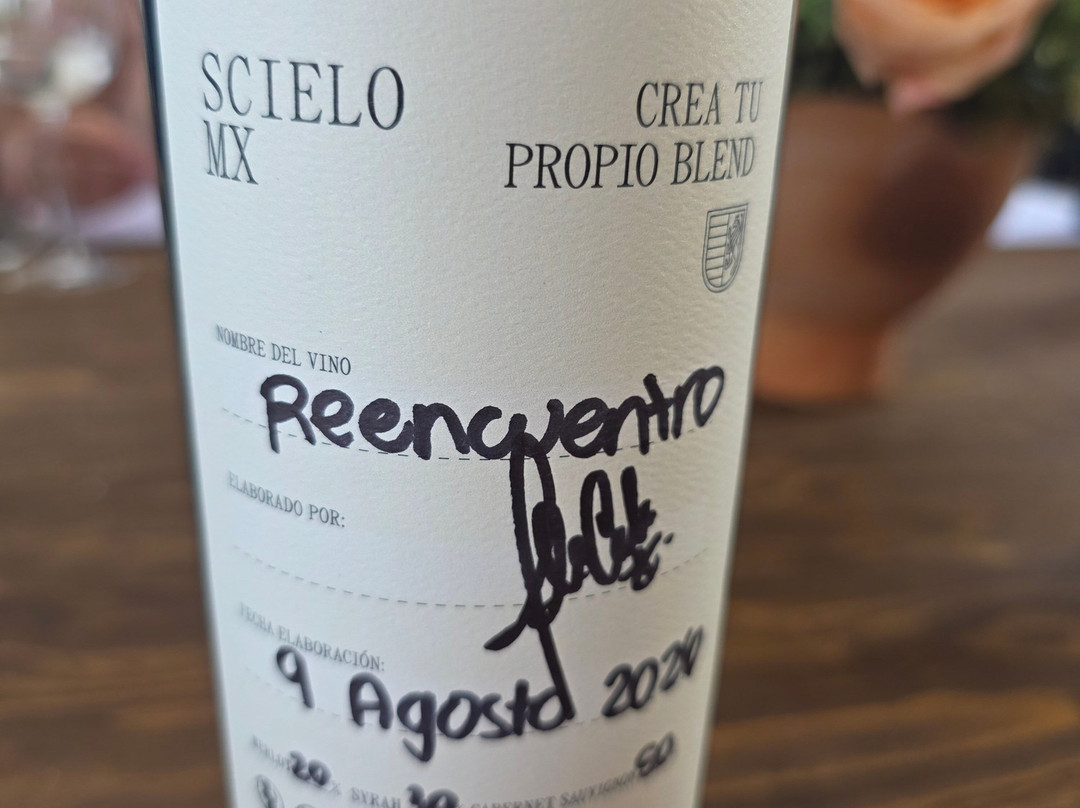 Bodega RGMX-Parras de la Fuente必去景点