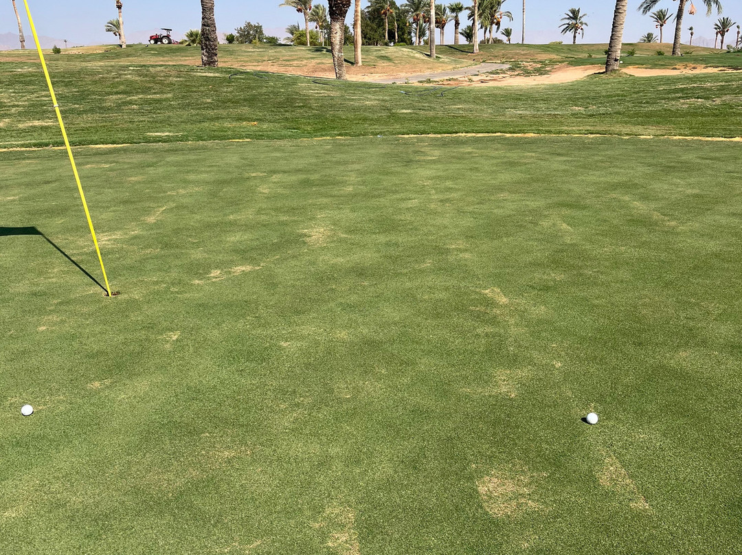 Pickalbatros Golf Course-沙姆沙伊赫必去景点