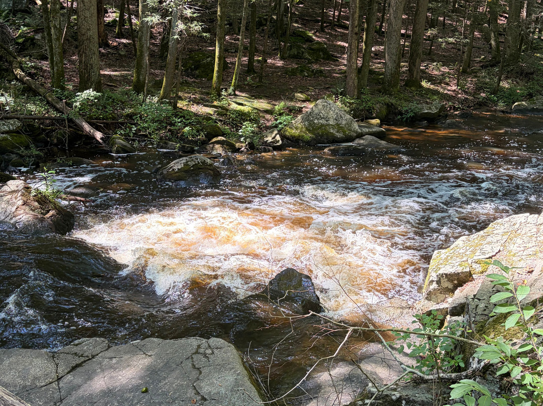 Hacklebarney State Park-Long Valley必去景点