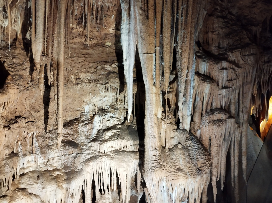Grotte de Baume Obscure-Saint-Vallier-de-Thiey必去景点