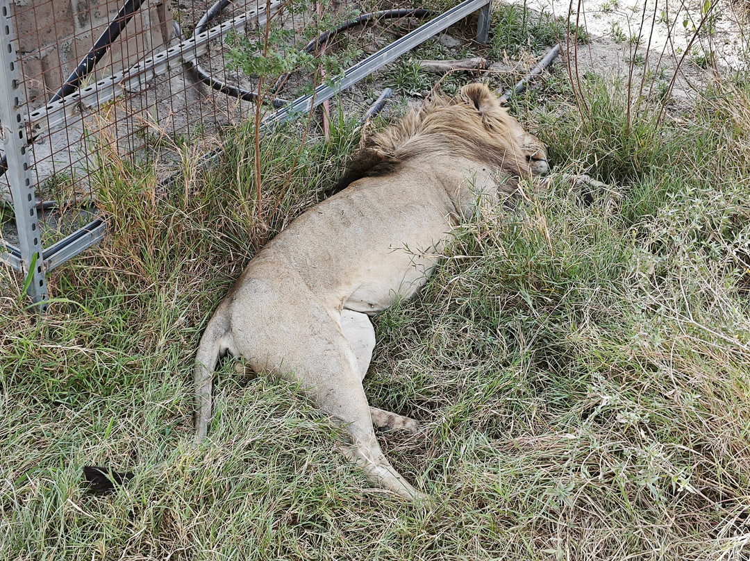 Sereland Africa Safaris-Sakina必去景点