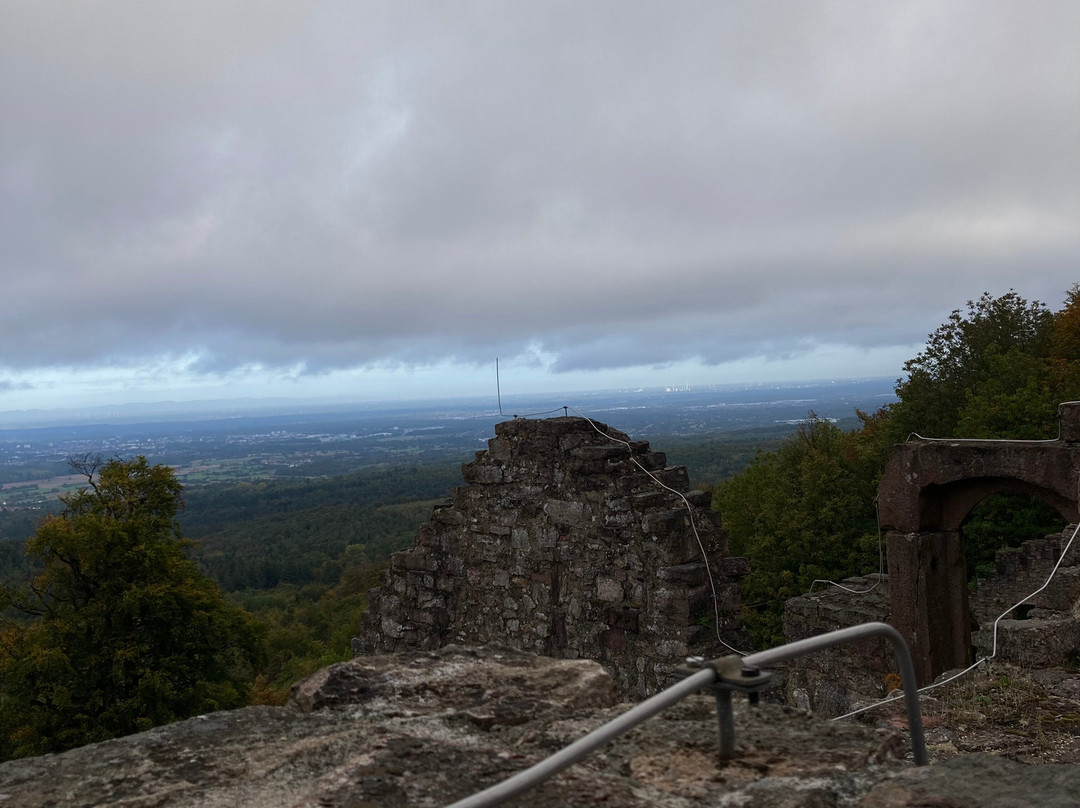 Altes Schloss Hohenbaden-巴登巴登必去景点