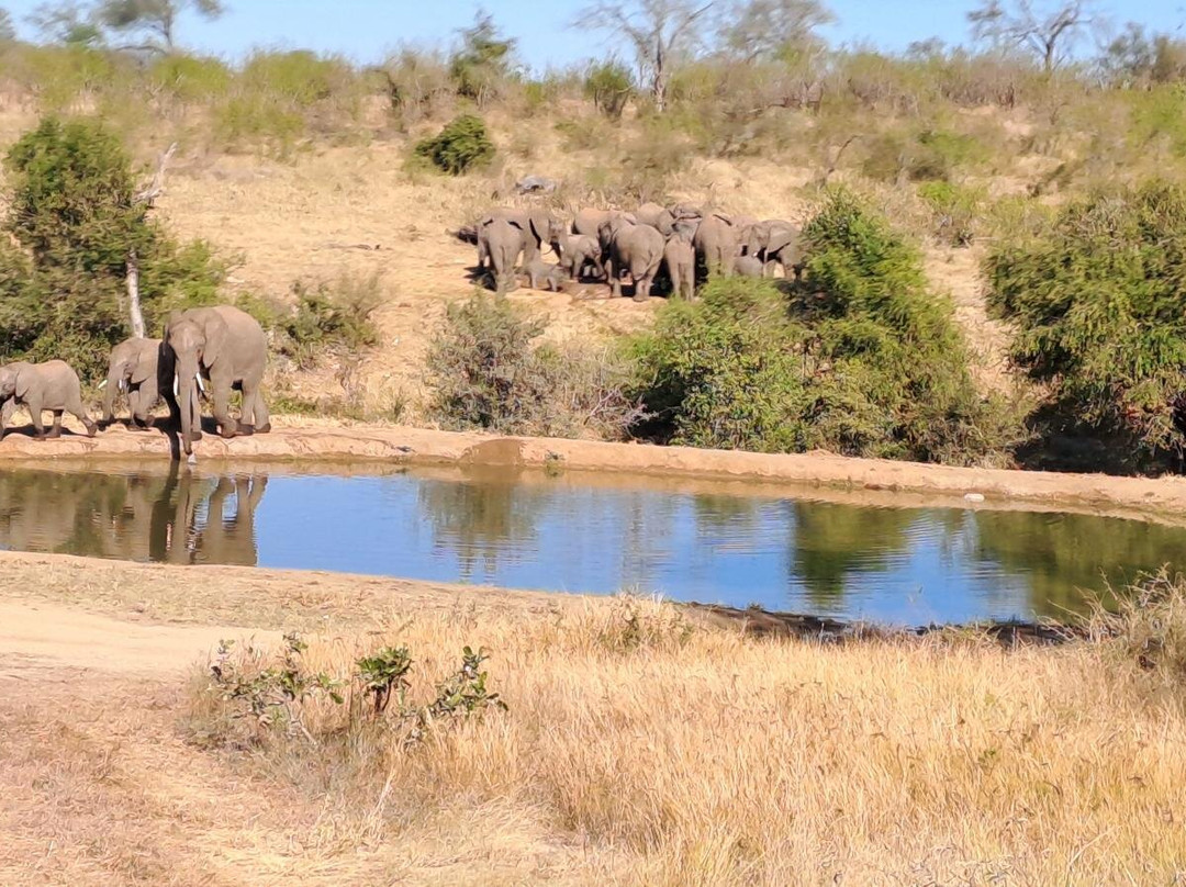 Milima Big 5 Safari Lodge主图