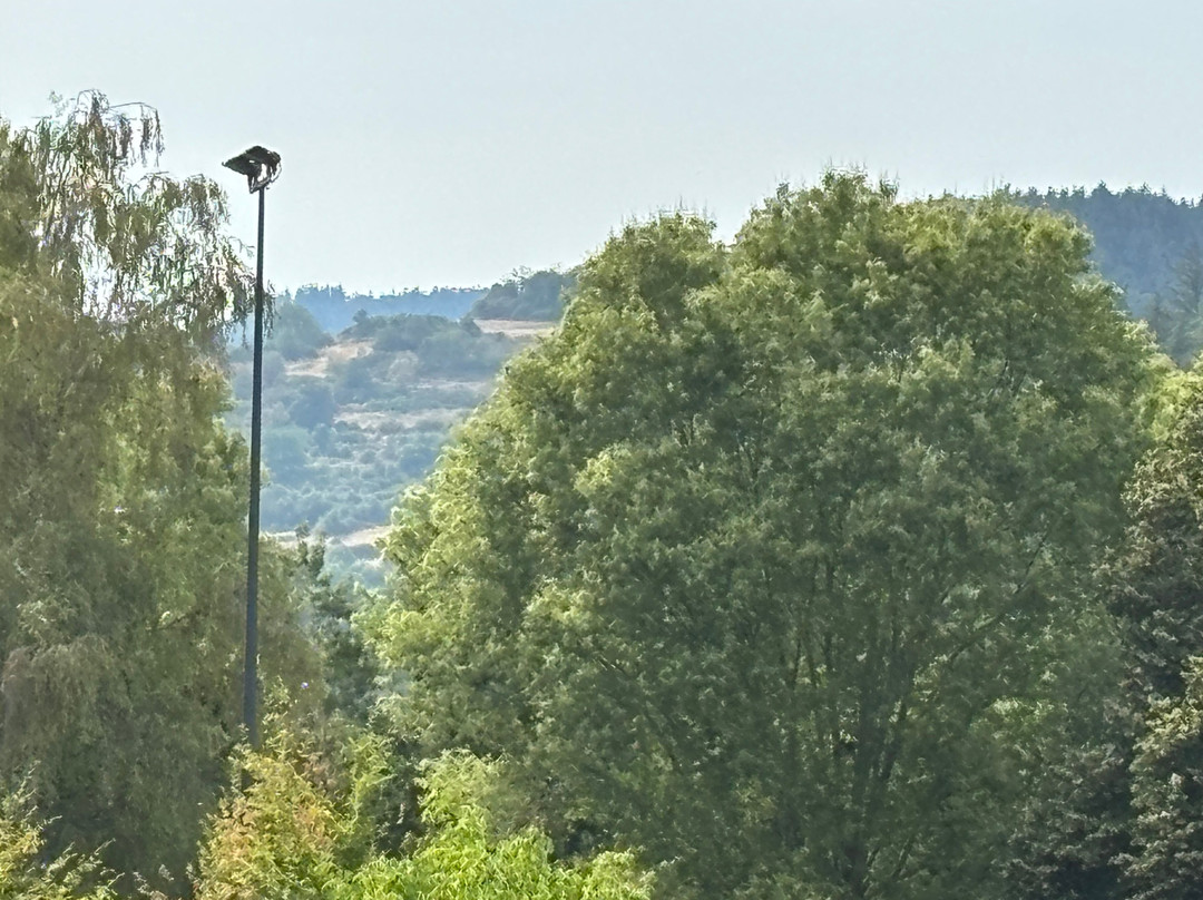 Parc Naturel Régional du Pilat-Pelussin必去景点