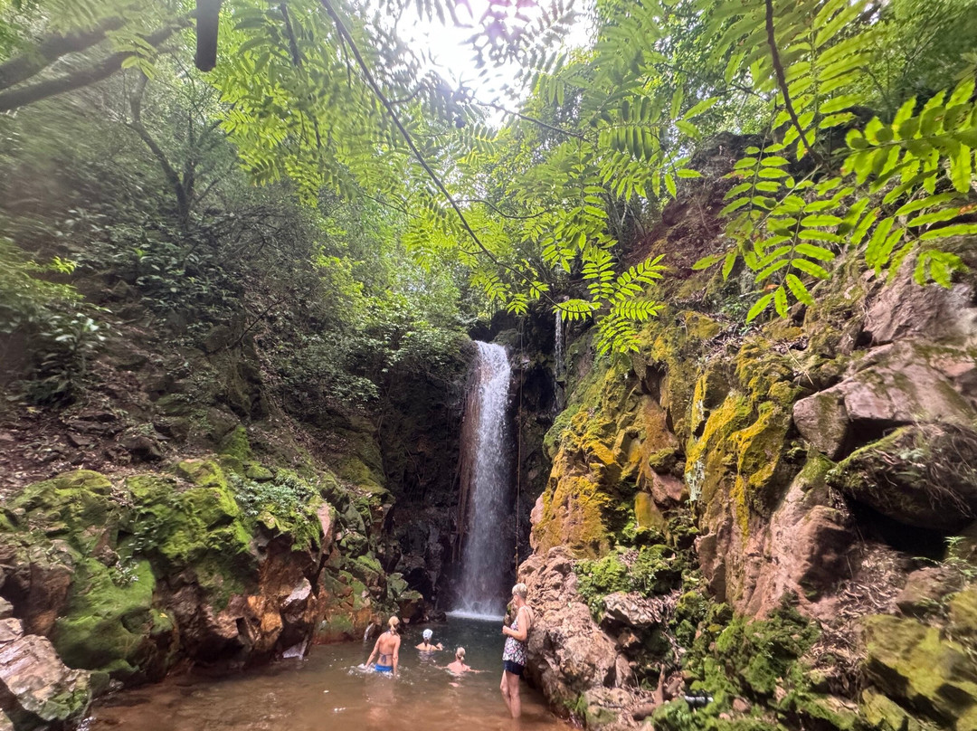 Embody Costa Rica: A Wellness & Retreat Center-Atenas必去景点