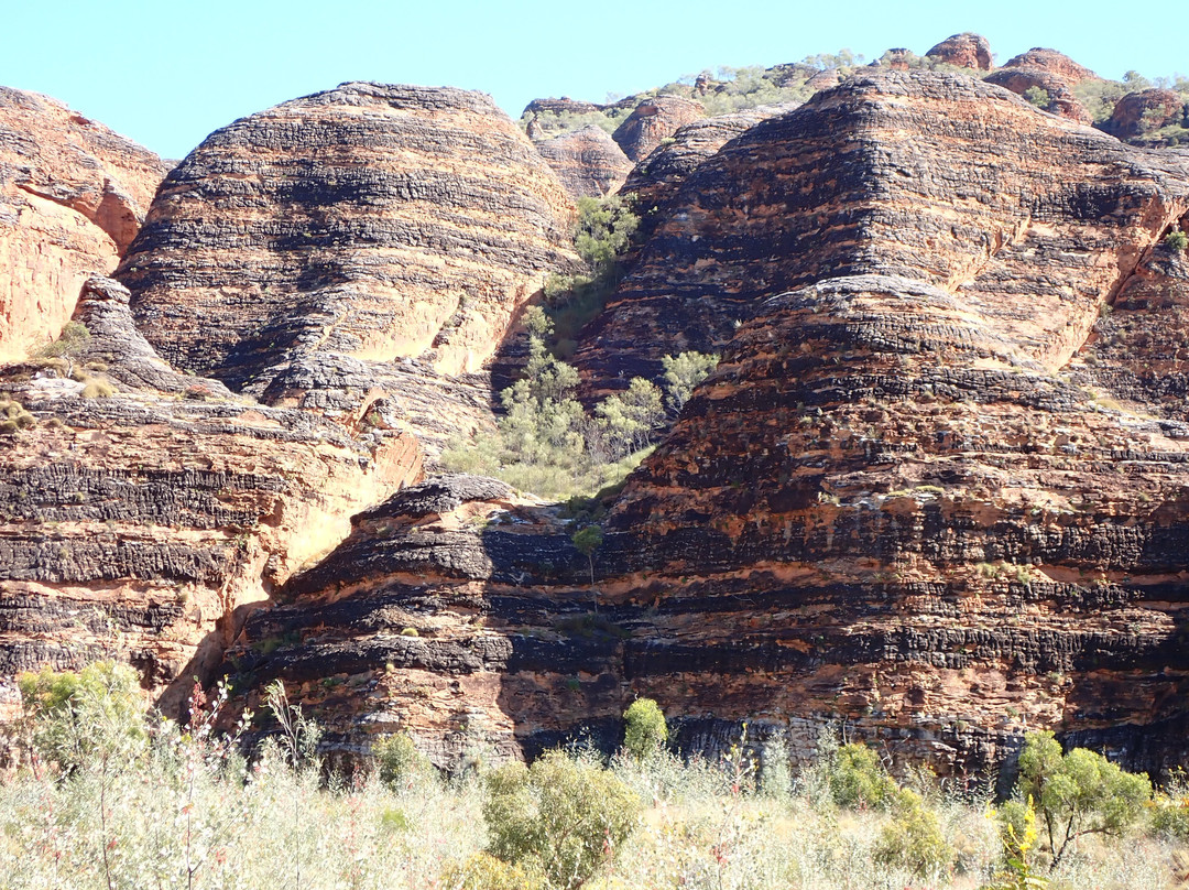 Kimberley Safari Tours-North Perth必去景点