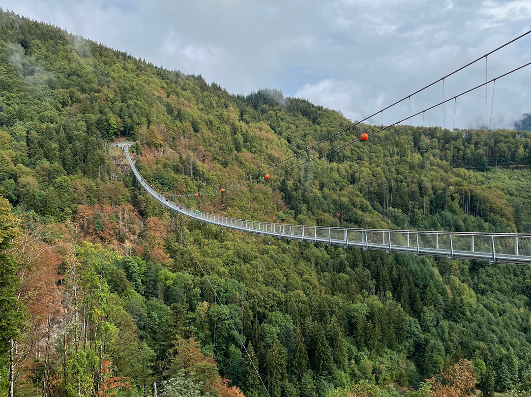 Blackforestline Hangebrucke-托特瑙必去景点