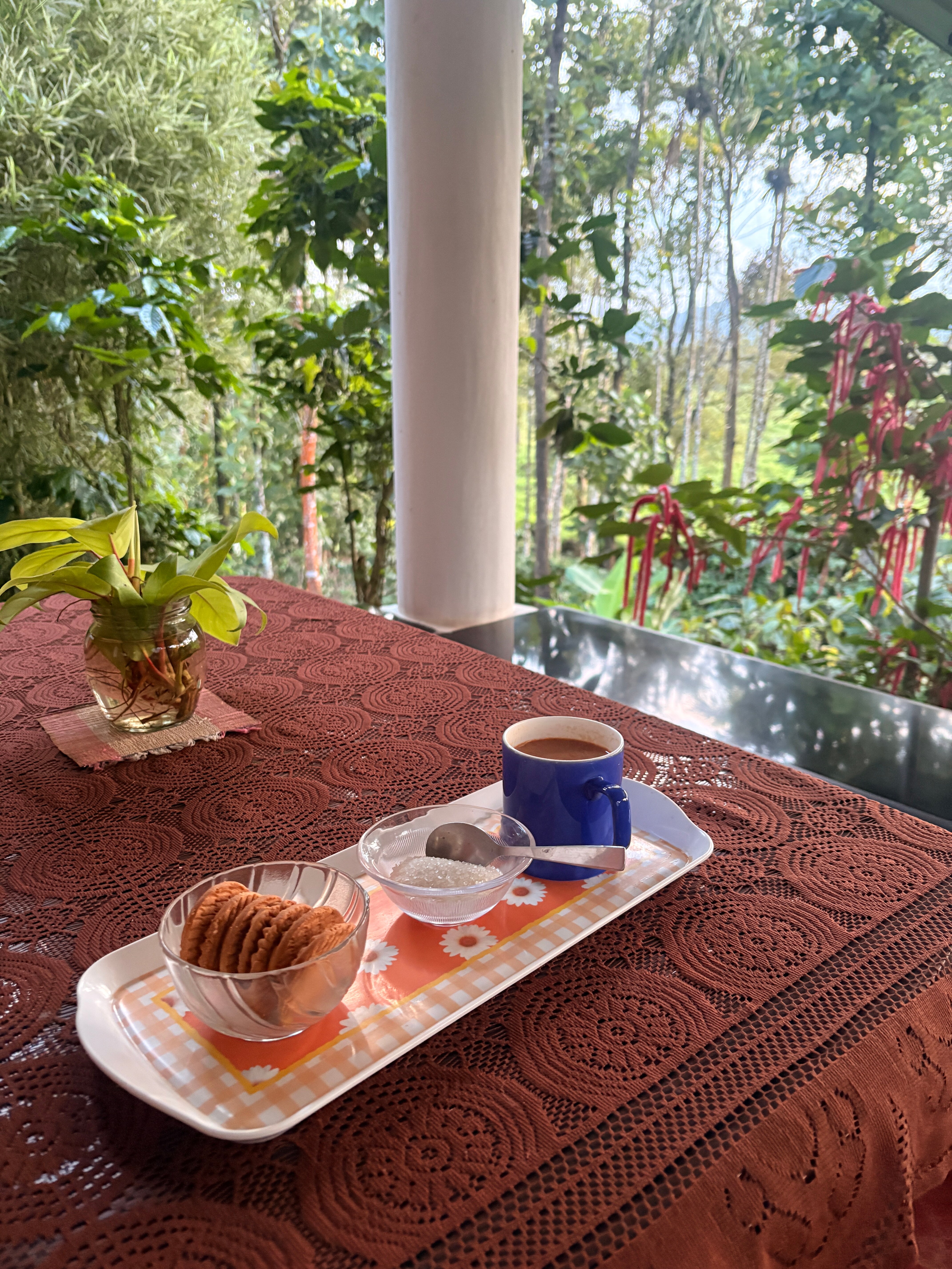 Casa Coorg Homestay-旅行者