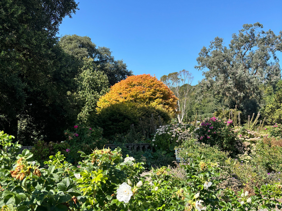 Cappoquin House Gardens-Cappoquin必去景点