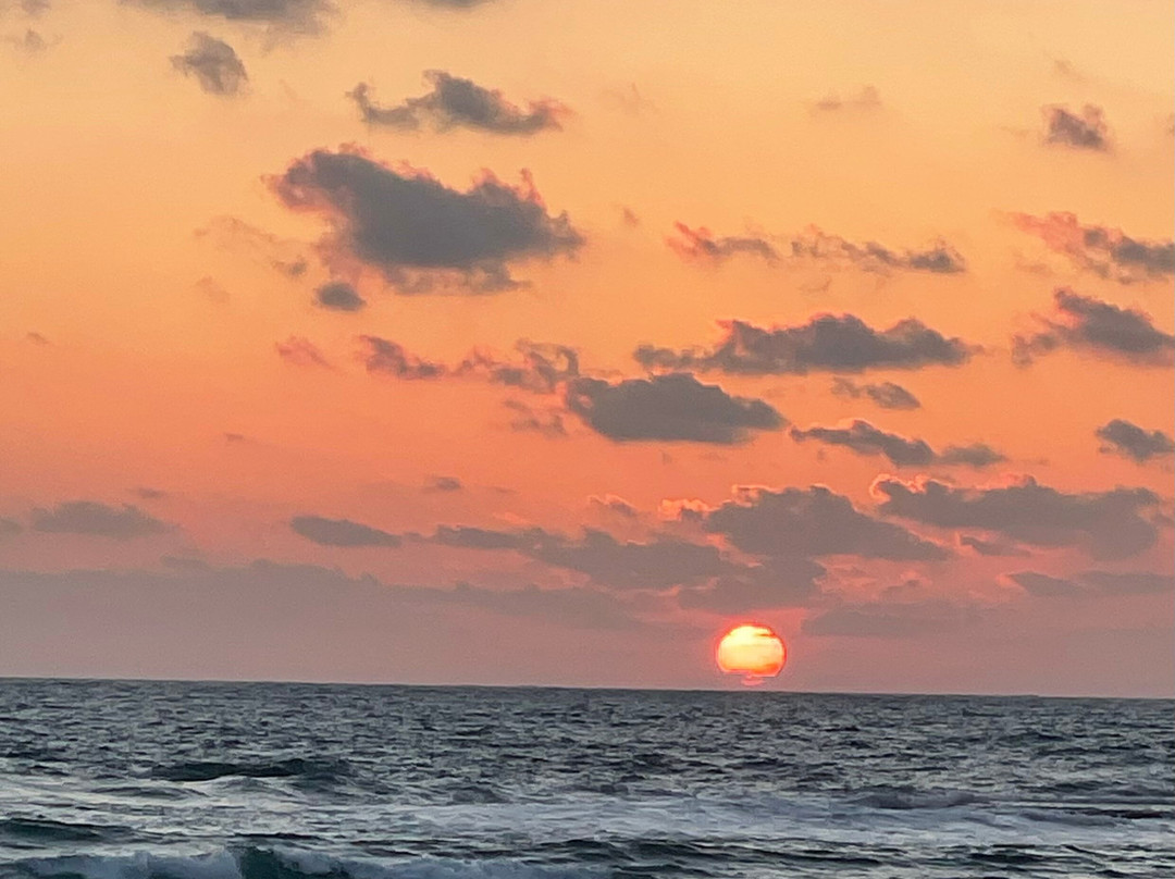 Nahsholim Beach Hotel主图
