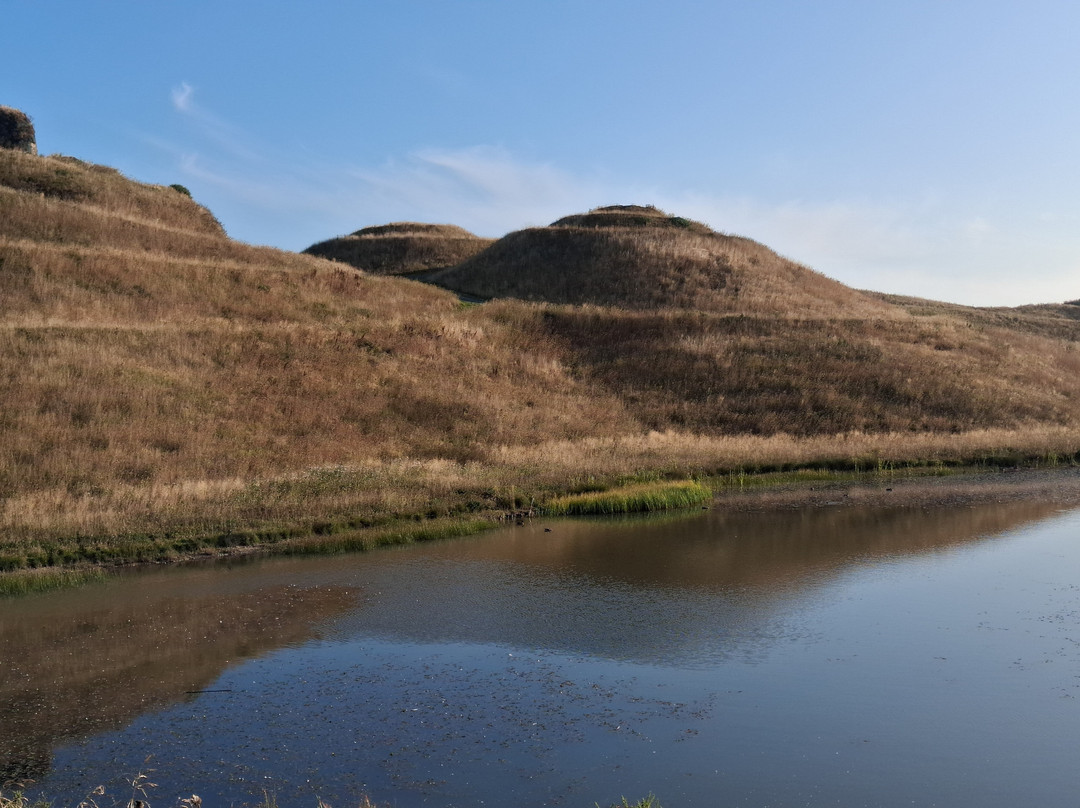 Northumberlandia-Cramlington必去景点