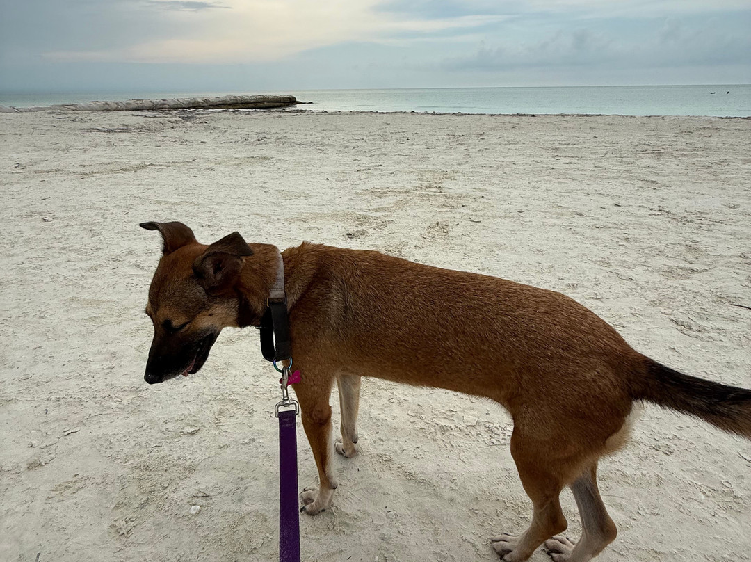 Refugio Holbox-Holbox Island必去景点