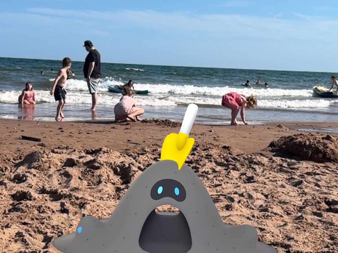 Dawlish Warren Beach-道利什必去景点