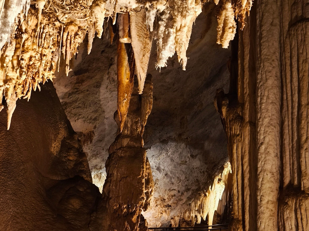 Cueva De Pozalagua-Valle de Carranza必去景点