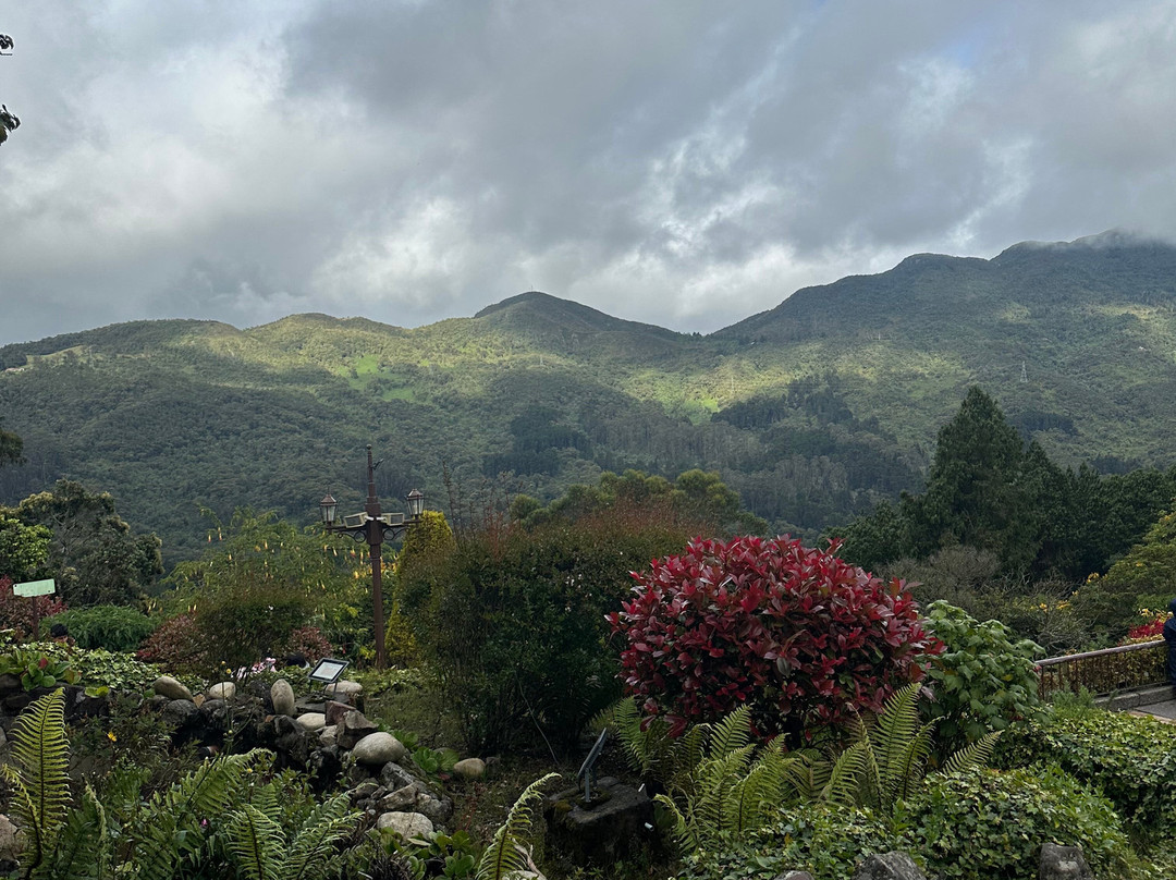 蒙塞拉特山-波哥大必去景点
