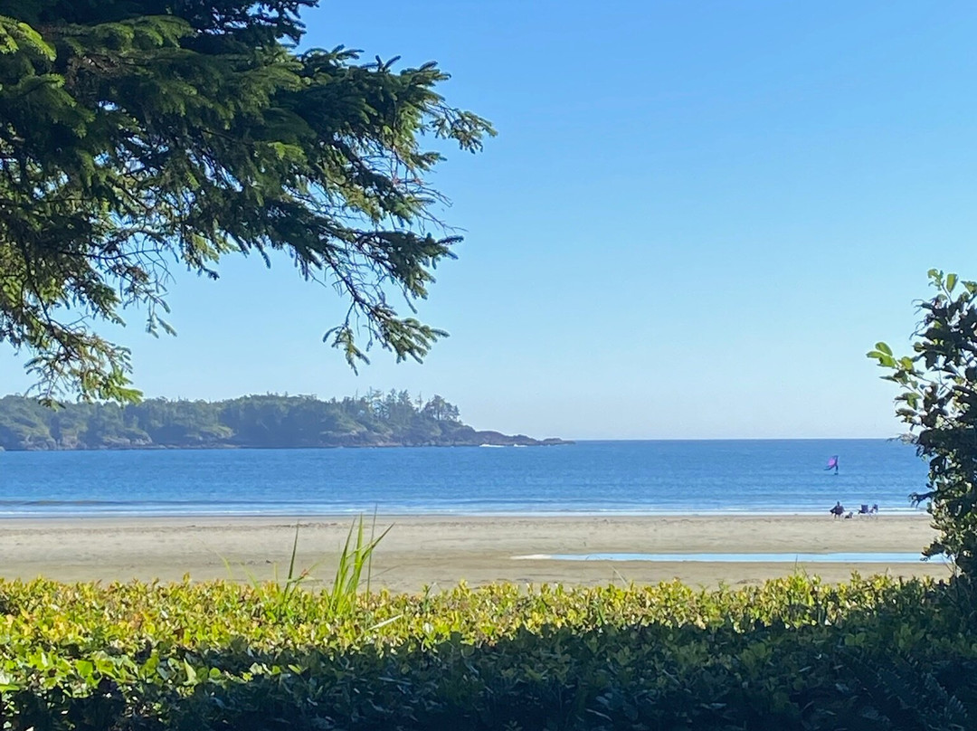 Chesterman Beach-托菲诺必去景点