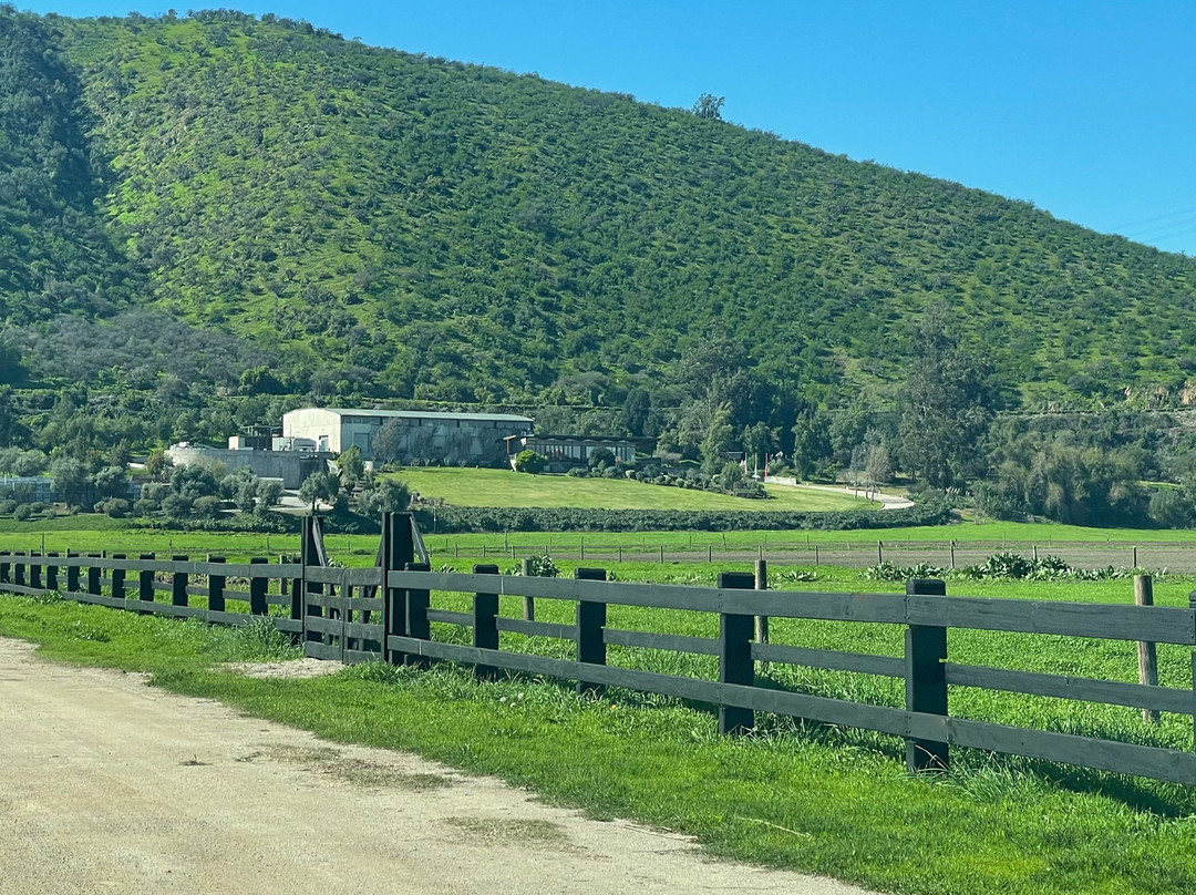 Odfjell Vineyards-Padre Hurtado必去景点