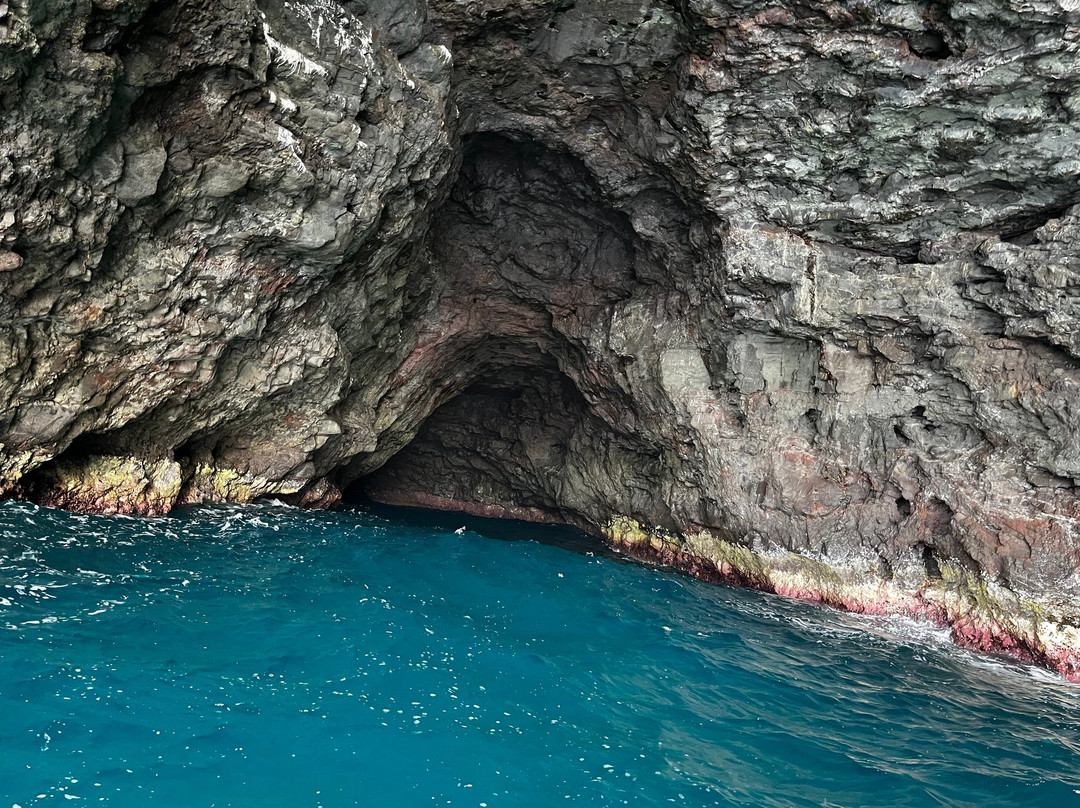 Kauai Sea Tours-埃里埃利必去景点