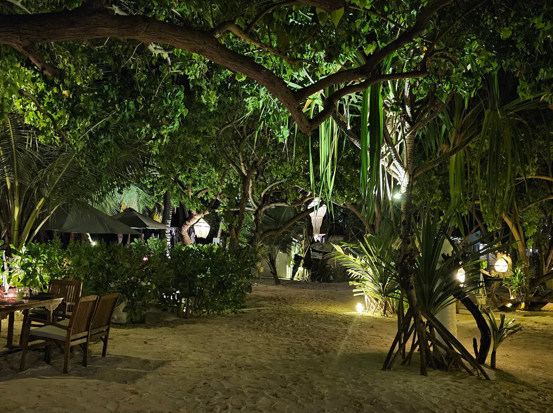 Samura Maldives Guest House Thulusdhoo主图